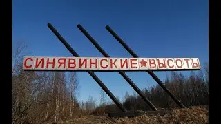 Поиск солдат РККА