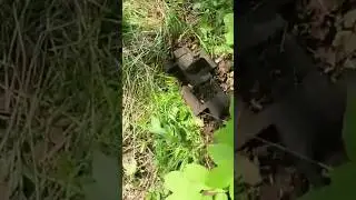 Копаю траки.