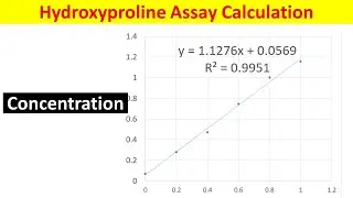 Hydroxyproline Assay Calculation: A Step-by-Step Guide