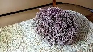 Комнатные цветы. Каллизия и полисциас. Ловим червячка.