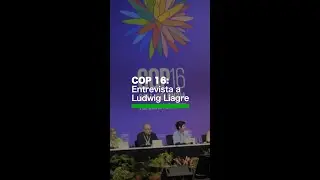 COP16: “Tenemos que movilizar 200 mil millones de dólares cada año, adicionales hasta 2030”