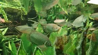 zoo Ostrava