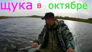 Щука в октябре. Ловля при сильном ветре на кружки