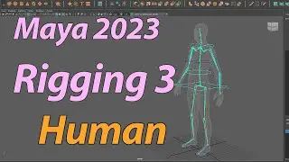 Riggin 3 en el Cuerpo Humano  Usando  Autodesk Maya 3D 2023