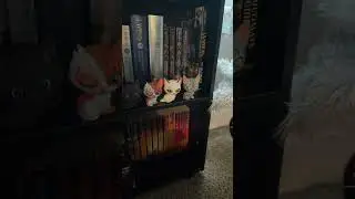 It’s not an addiction, it’s a hobby..