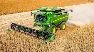 SOYBEAN HARVEST IN THE MIDWEST