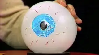 Blind Spot