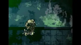 true_lab.wmv