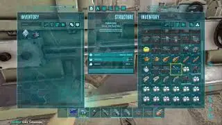 Ark