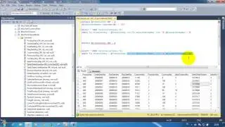 SQL SERVER 5 --- PARAMETRE, WHILE, IF