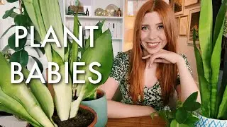 PLANT BABIES! (and a ramble about the Snyder Cut)