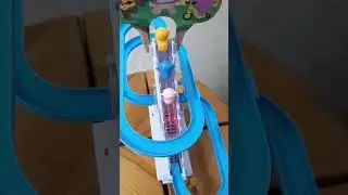 #playing#slinding#bear#short#viral#trending#