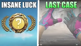 I Spent $1000 On Cases and Actually PROFITED (RainGG)