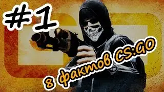 8 фактов CS:GO, которые вы возможно не слышали