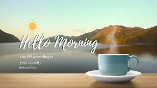 Good Vibes Music 🌺|  Comfortable songs to make you feel better