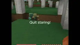 Minecraft Moments, Am I right?