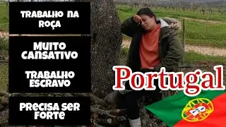 Meu TRABALHO na ROÇA em PORTUGAL