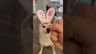 До конца, я гений.
