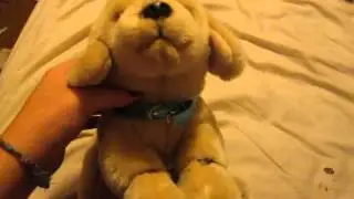 honeys beautiful singing voice