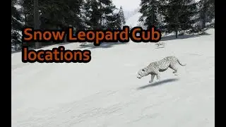 SoulMask | Snow Leopard cub/baby locations