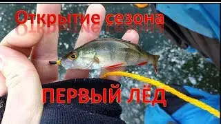 Первый лед. Открытие сезона. Жерлицы. Безмотылка.