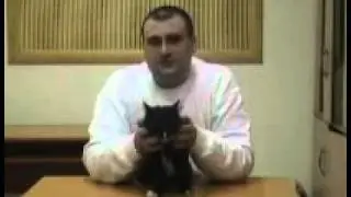 Правила воспитания кошек
