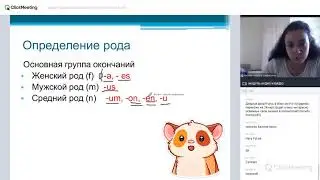 Имя существительное в латинском языке