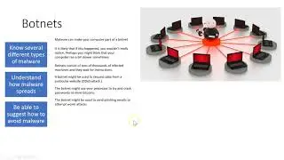 What is a botnet?