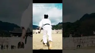 챔피언태권도 X 문경새재 #태권도 #문경새재 #taekwondo