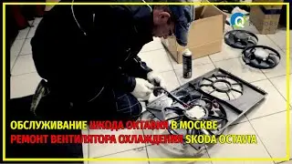 Обслуживание Шкода Октавия в Москве.  Ремонт вентилятора охлаждения Skoda Octavia