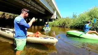 The Hunt for Seagrass in the Sebastian River