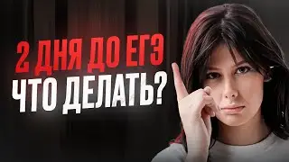 Как выучить ВСЁ за 2 дня до ЕГЭ по русскому? / Что ПОВТОРИТЬ и как ГОТОВИТЬСЯ к ЕГЭ по русскому?