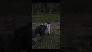 This happening to Arthur is now cannon RDR2 