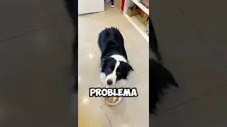 How to ask your 