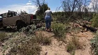 Time lapse of Monsoon and Firewood cutting