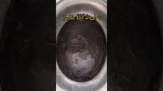 hadees sharif || hadees in urdu || hazrat muhammad saw #shorts #viralshorts #trending #hadeessharif