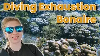 Diving Karpata in Bonaire & Finally Hitting the Wall