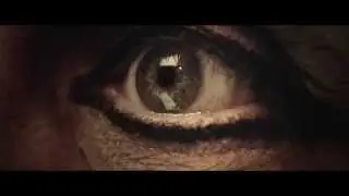 7 загадок фараона :: Barabaka Quests