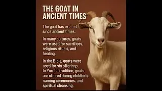 Why Do We Ignore the Goat’s Value