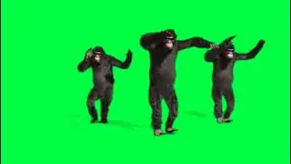 गोरिला डांस || Gorila dancing || Green Screen Video Background Caroma Key #nikslivegreenscreenvideo