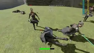 Soulslike Combat System