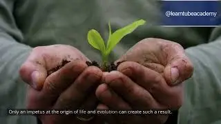 Mechanism | vitalism | psychology | university | self understanding | fun | human nature| classroom