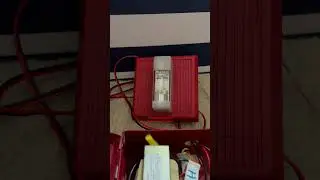 Wheelock MT-24-WM Fire Alarm Test (Bell Tone) 