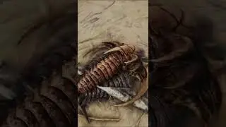 Ark Survival Evolved - How To Craft Cementing Paste 