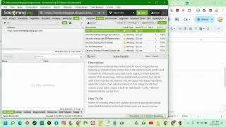 HOW TO DO ROBOTS TXT CHECK -  WEBSITE SEO AUDIT REPORT