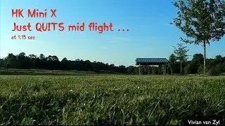 HK 250 MiniX just quit mid flight and Crash !
