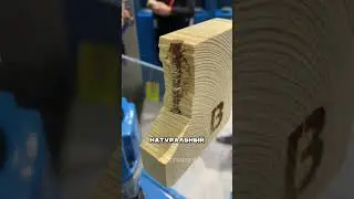 The secret to the strength of wooden nails 