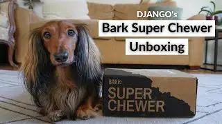 DJANGO: Bark Super Chewer Unboxing & Review