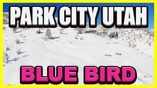 Chill Day At Park City