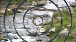 TARIEL ( tsalka myz).avi
